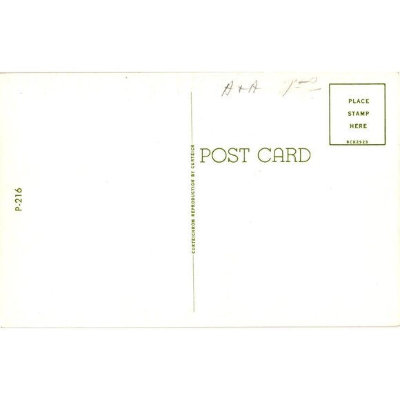 Vintage Curt Teich Comic Dog Postcard Its Heel - Picture 2 of 2